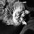 Stephanie Dinges's profile image