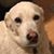 Rich Emerson's profile image