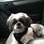 Regina Philbin's profile image