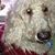 Rupert Von Rodenberg's profile image