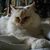 Bonnie Mack's profile image