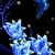 Betty M Figueroa's profile image