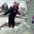 Tricia Daniels's profile image