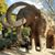 Karen Liao's profile image