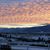 Diane Medeiros Russell's profile image