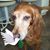 Robert Gelb's profile image