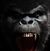 Marsette Mangum's profile image