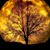 Sandra K Herron-Behnke's profile image