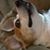 Patti Scott's profile image