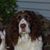 Wallis Betsy Jones's profile image