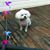 Kuykendall Shammie's profile image