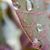 Carolyn Papineau's profile image