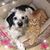 Pamela Casey's profile image