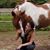 Sarah Ashley Rich's profile image