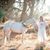 Melissa Ann Morgan Humphreys's profile image