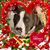 Mary K Ferrell's profile image