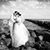 Moani Tolentino's profile image