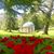 Stephanie Bare Reardon's profile image