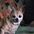 Kellie Baker's profile image