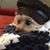 Roxanne Xanders's profile image