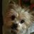 Colleen Murray-Jones's profile image
