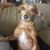 Susan Bunting's profile image