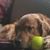 Crystal Brad Toombs's profile image