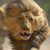 Mark Brown's profile image