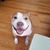 Tammy Tremblay's profile image