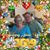 Elaine Houlihan's profile image