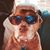 Rudy Rangel's profile image