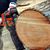 Golden Circle Tree Care's profile image