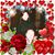 Margarita Hielsberg's profile image