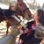 Megan Greenslade's profile image
