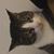 Kelly Sorensen Pedigo's profile image