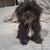 Ricardo Tapia's profile image