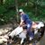 Toni VanPetten's profile image