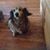 Chris Karlow's profile image