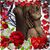 Amore Della Mia Vita's profile image