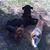 Frank Cindy Chamernick's profile image