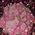 Bonnie Magoo's profile image