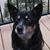 Donna Marino's profile image