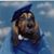 Alex Wiertelak's profile image