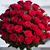 Agnes Murawska's profile image
