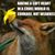 Jenifer Edler's profile image