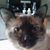 Kim Johnson's profile image