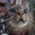Nancy Flaherty's profile image