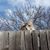 Karen Slimp's profile image