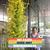Amy Reimer's profile image