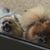 Mary Ann Puckett Degges's profile image